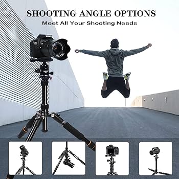 Amazon.com : ZOMEi Camera Tripod 62