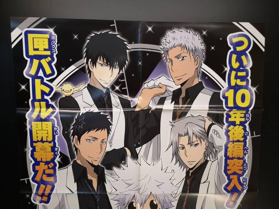 Amazon.co.jp: B2販促ポスター家庭教師 ヒットマン REBORN! リボーン