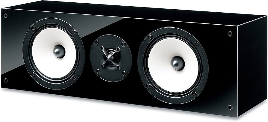 Amazon.co.jp: ONKYO センタースピーカーシステム (1台) D-509C(B