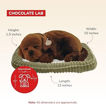 Amazon.com: Perfect Petzzz Original Petzzz Chocolate Lab