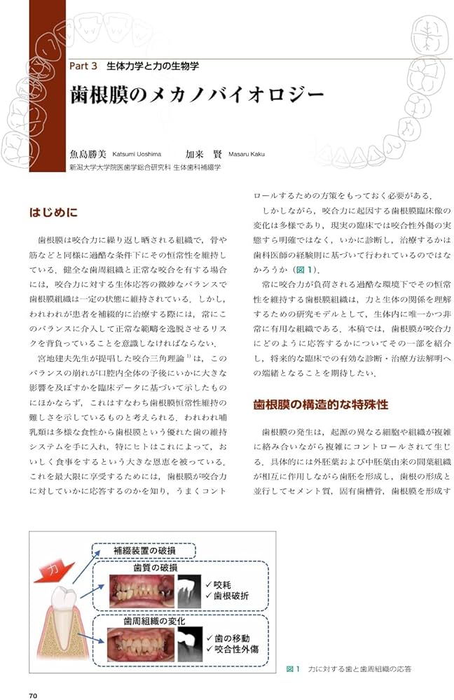 新・力を診る: 臨床と研究の接点 | 市川 哲雄, 森本 達也, 熊谷 真一