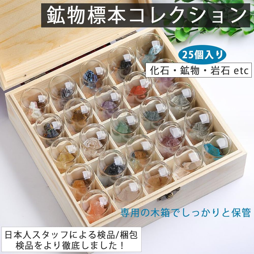 Amazon | AZNABLE 鉱物標本 セット 箱 鉱物 コレクション 岩石 化石