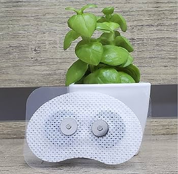 Amazon | Snore Circle EMS スノアサークル EMS用 専用交換 シール