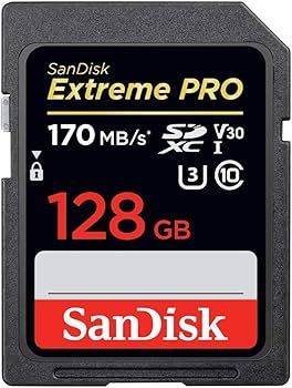 Amazon.com: SanDisk Extreme Pro 128GB SD Card for Fujifilm Camera