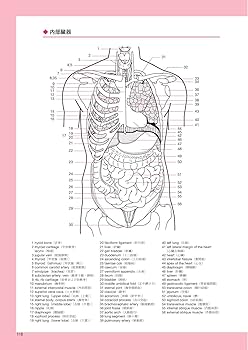 臨床検査技師のための医学英語 第2版 実用会話・文献の読み方 | 奈良