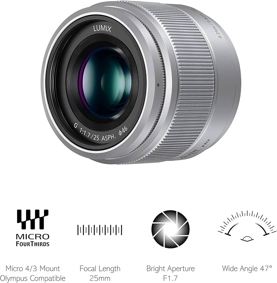 Amazon.com : Panasonic LUMIX H-H025E-K 25 mm Micro Four Thirds