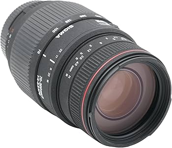 Amazon.com : Sigma 70-300mm f/4-5.6 APO Macro Super Lens for Nikon