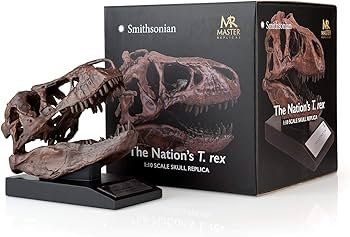 Amazon.co.jp: マスターレプリカ(T-Rex スカル像) | スミソニアン化石