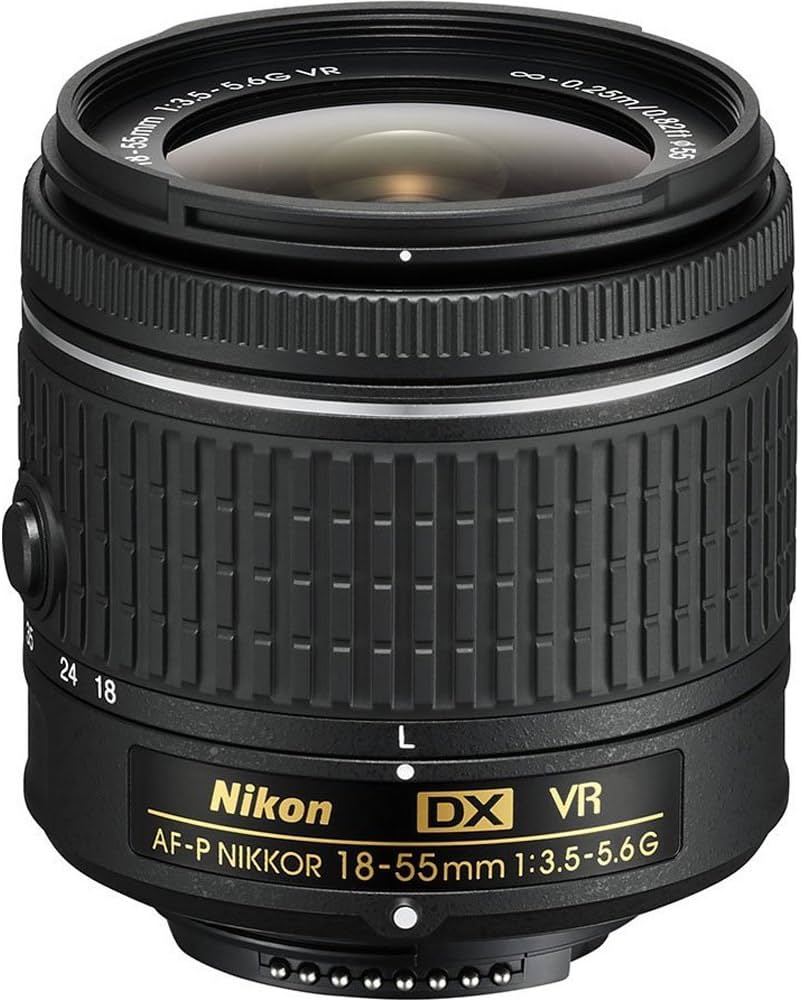 Amazon.com : Nikon AF-P DX NIKKOR 18-55mm f/3.5-5.6G VR Lens for