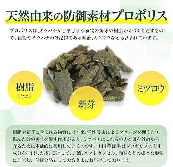 Amazon | 山田養蜂場 プロポリス300 袋入(100球入/約1ヵ月分