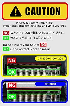 Amazon.com: Nextorage Japan 2TB NEM-PAC PlayStation 5 SSD, M.2