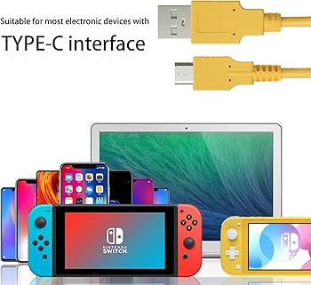 Amazon.com: ECHZOVE Yellow Charging Cable for Nintendo Switch lite
