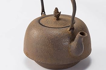 71-CTpQJYSL._AC_UF350,