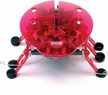 Amazon | HEXBUG ヘックスバグ カブトムシ (※1個・お色はおまかせ