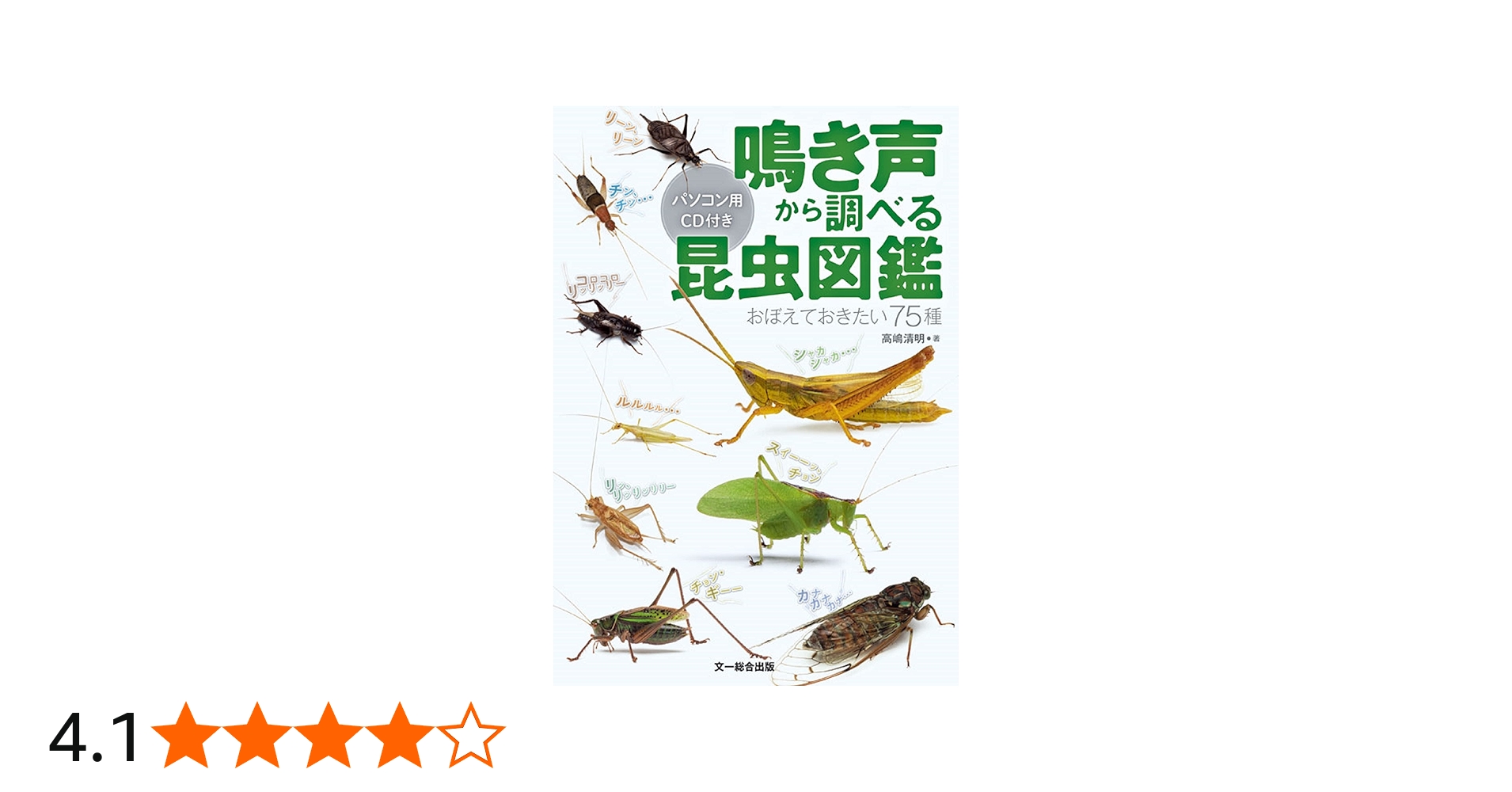 71-L+tzKABL.jpg_BO30,255,255,