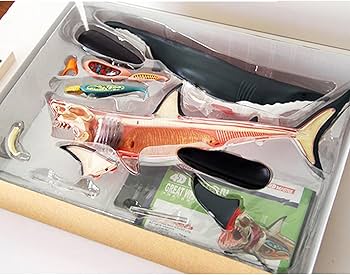 Amazon | BACALYSO | 4D VISION サメ リアル フィギュア 立体パズル