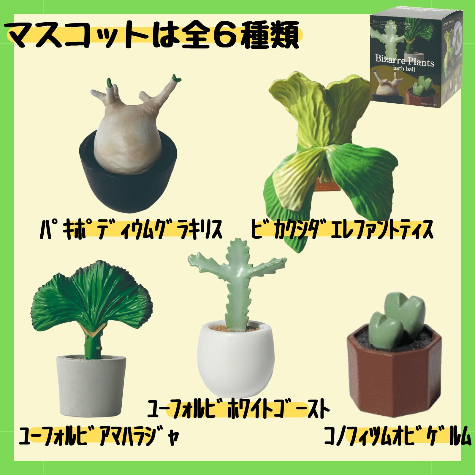 Amazon | 【6個セット+泡立てネット付き】ノルコーポレーション バス