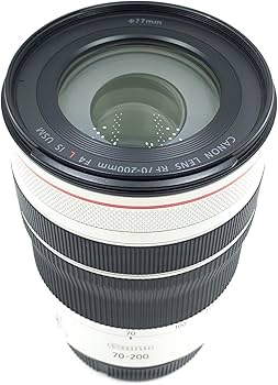Amazon.com : Canon RF70-200mm F4 L is USM Lens, Telephoto Zoom