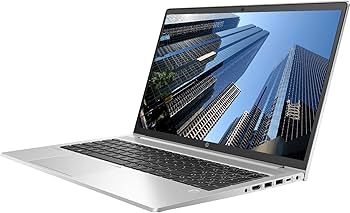 Amazon.com: HP ProBook 450 G8 Business Laptop, 15.6