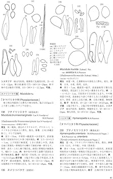 Amazon.co.jp: 新版 北陸のきのこ図鑑 : 池田良幸, 池田良幸, 本郷次雄: 本