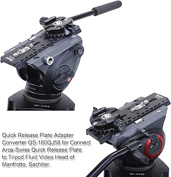 71-nBBOw9TL._AC_UF350,