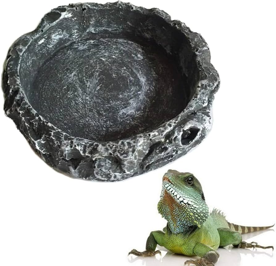 Amazon | 爬虫類 水入れ 8*8*2cm 爬虫類 餌入れ 樹脂水皿食物碗