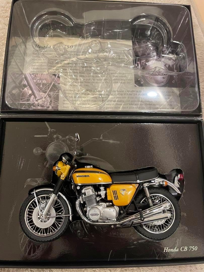 発色良好】エンセファラルトス・ホリダス｜シャープ葉・優良個体No3-24