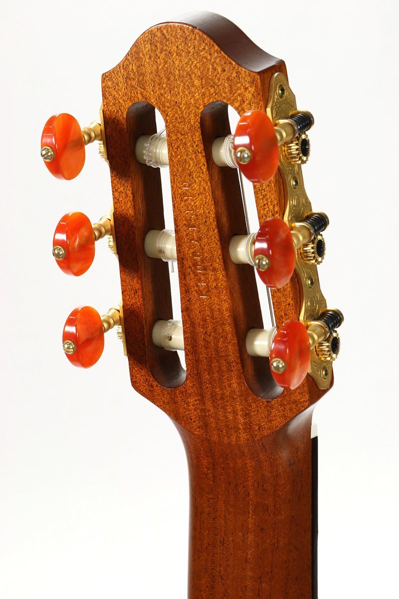 Amazon.co.jp: YAMAHA / SLG-100NW ヤマハ サイレントギター : 楽器