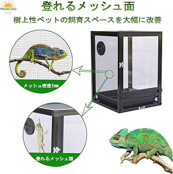 Amazon | Pounjsd カメレオン 飼育ケース 爬虫類 ケージ 120cm 大型