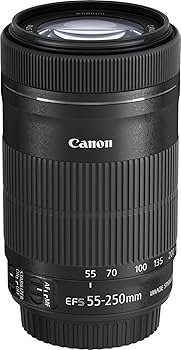 Amazon.com : Canon EF-S 55-250mm f/4-5.6 is STM Telephoto Zoom