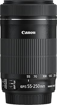 Amazon.co.jp: Canon レンズ EF-S55-250mm F4-5.6 IS STM : 家電＆カメラ