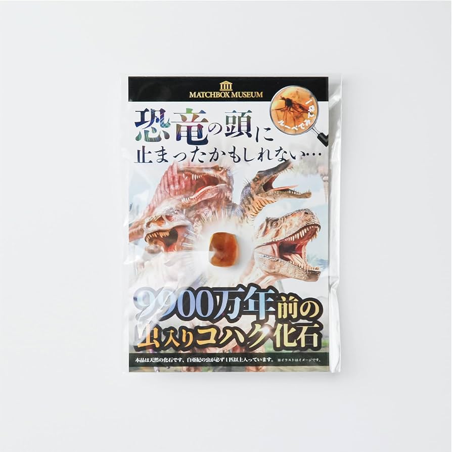 Amazon | 9900万年前の虫入りコハク化石 恐竜時代の虫入り琥珀 白亜紀