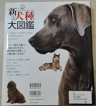 711O-Bkx60L._AC_UF350,