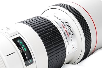 Amazon.co.jp: Canon EF 300 mm F4 L USM : 家電＆カメラ