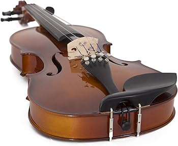 Amazon.com: Cecilio 4/4 Violin Set Full Size Fiddle Solidwood