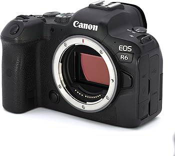 Amazon.co.jp: Canon Mirrorless Camera Body Only EOS R6 Body