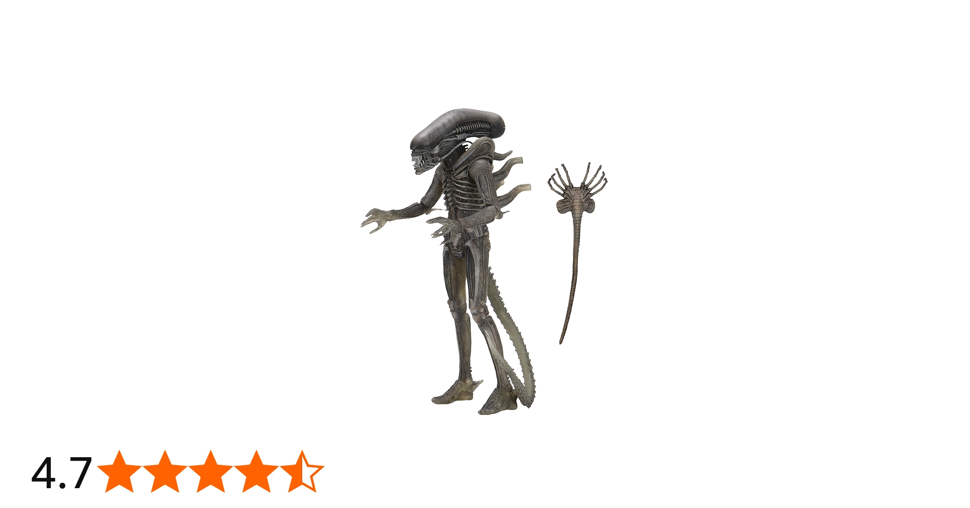 Amazon | Neca Alien 40th Anniversary Wave 4 The Alien Xenomorph