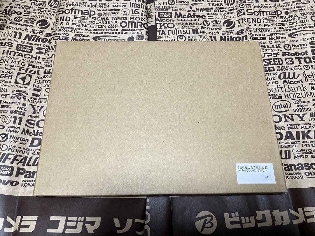 Amazon.co.jp: 白昼夢の青写真 A4キャラファインアクリル 世凪