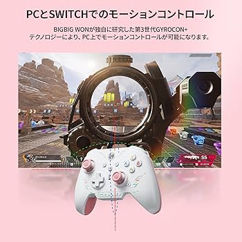 Amazon.co.jp: PC コントローラー、BIGBIG WON Rainbow 2 SE