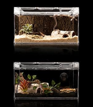 Amazon | Howorr アクリル 爬虫類ケージ 飼育容器、トカゲ ケージ