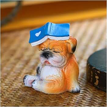 7139ZgeI3bL._AC_UF350,