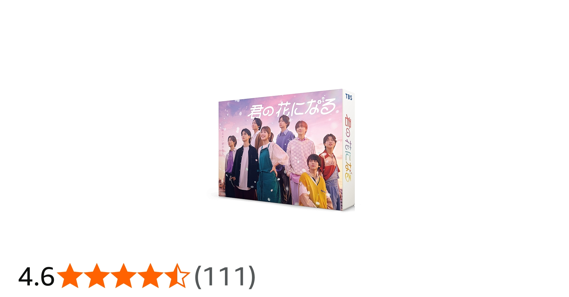 Amazon.co.jp: 君の花になる DVD-BOX [DVD] : 本田翼, 高橋文哉, 宮世