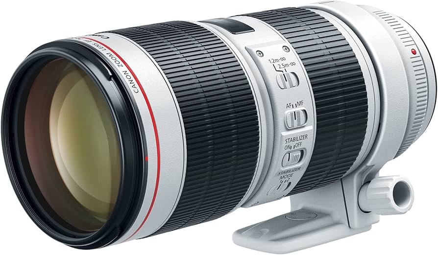 Amazon.com : Canon EF 70-200mm f/2.8L Is III USM Lens for Canon