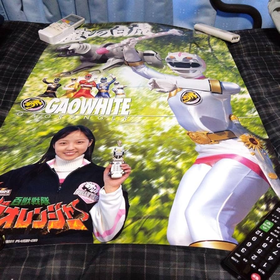 Amazon.co.jp: 百獣戦隊ガオレンジャー ガオホワイト B2ポスター 大河