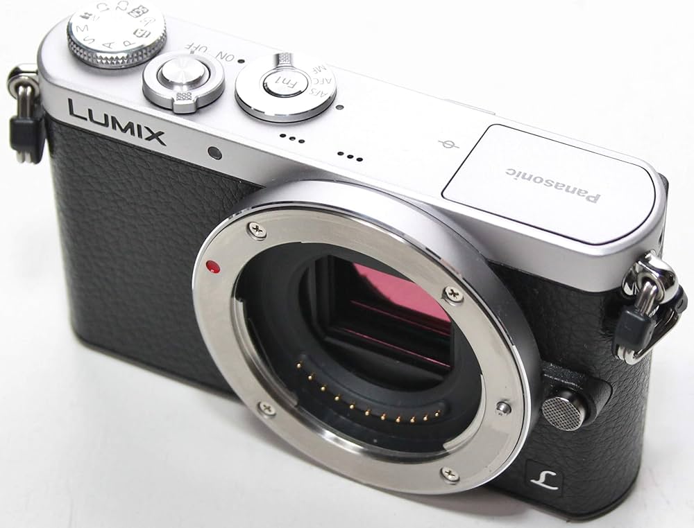 Amazon | パナソニック(Panasonic) デジタル一眼カメラ ルミックス GM1