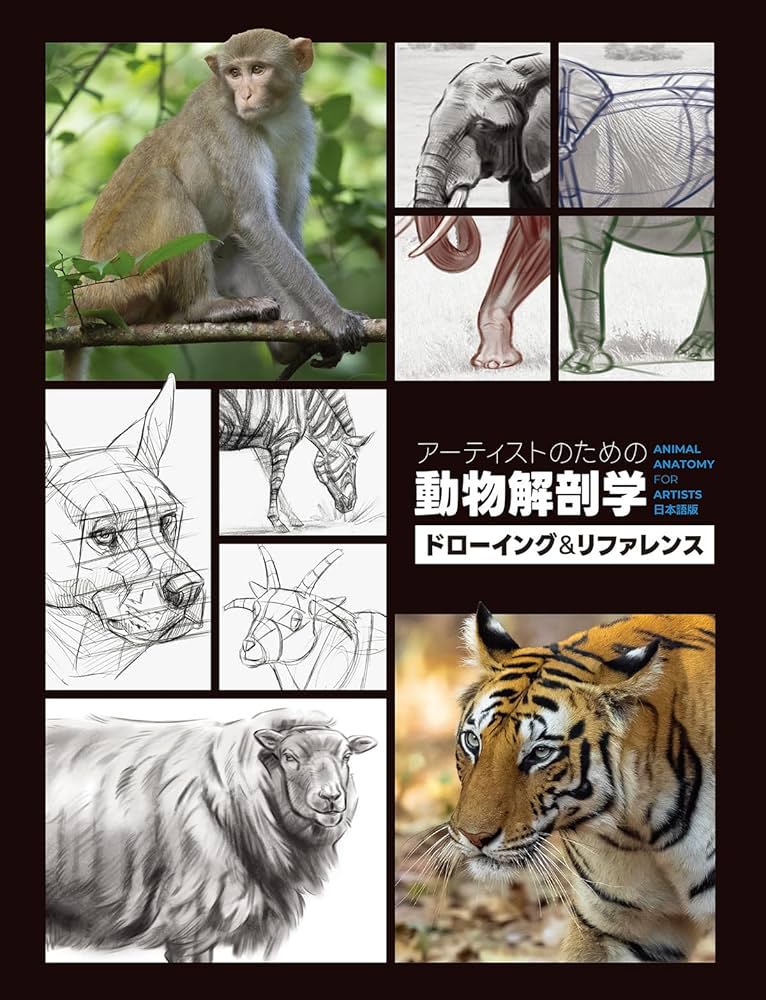 アーティストのための動物解剖学：ドローイング＆リファレンス