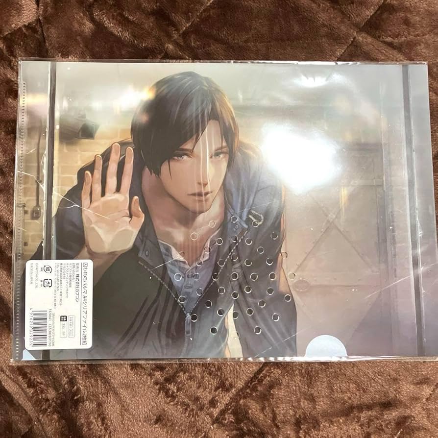 囚われのパルマ TOUR RECORDS クリアファイルとフォト風カード 囚われ