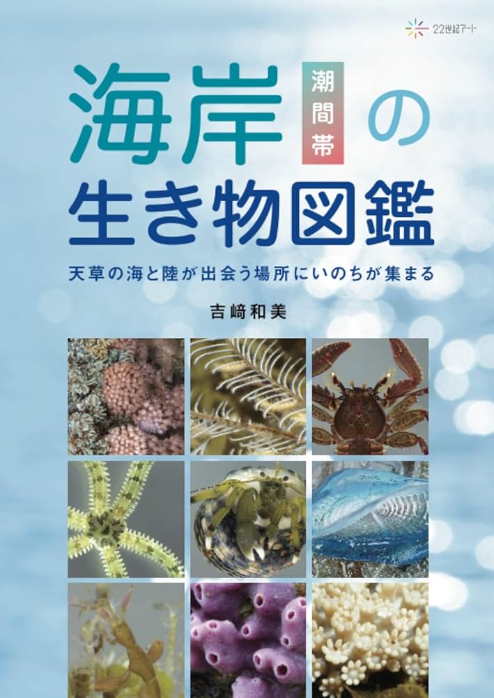 海岸（潮間帯）の生き物図鑑──天草の海と陸が出会う場所にいのちが