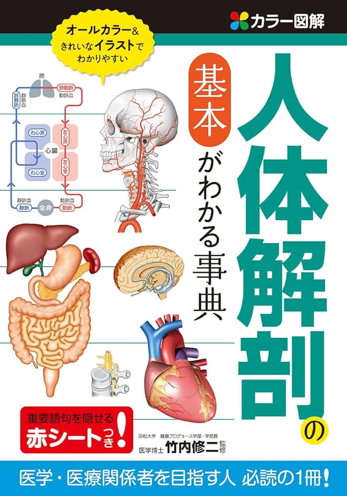 Amazon.co.jp: カラー図解 人体解剖の基本がわかる事典 : 竹内修二: 本