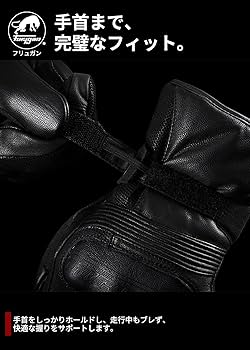 Amazon.co.jp: フリュガン(Furygan) LAND DK D3O® メンズ 秋冬用